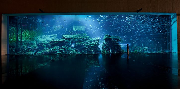 aquarium-tank-facade_approved-2