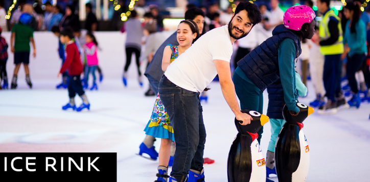 nov-ice-rink-2